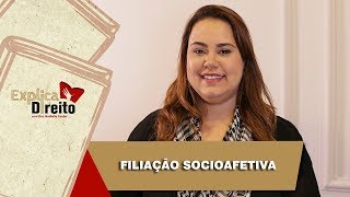 Explica Direito Filiação Socioafetiva  2019 [upl. by Laris]